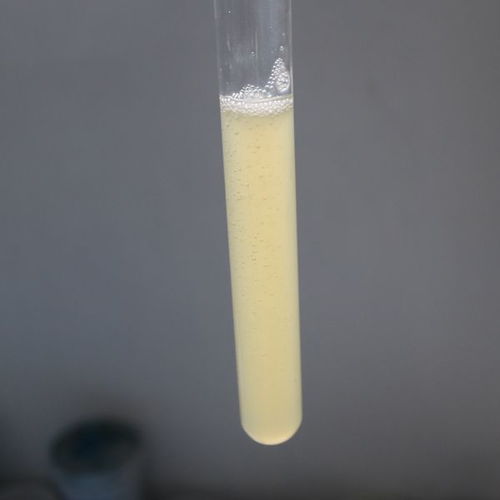 青島涂料助劑 NS22消泡劑在水性涂料色漿中的應用與供應解析